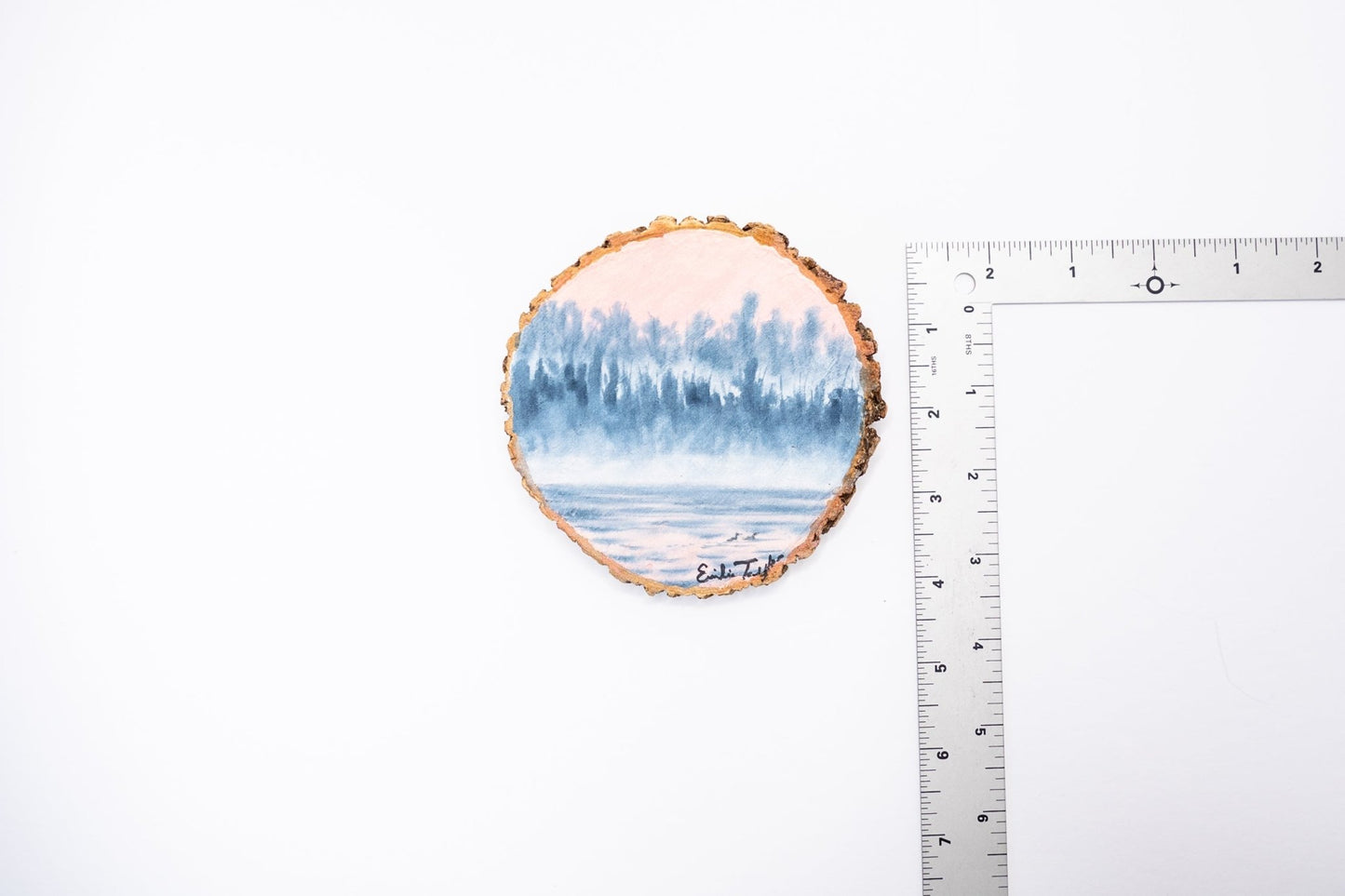 z2023 Vicarious Dreams Emilie Taylor Art