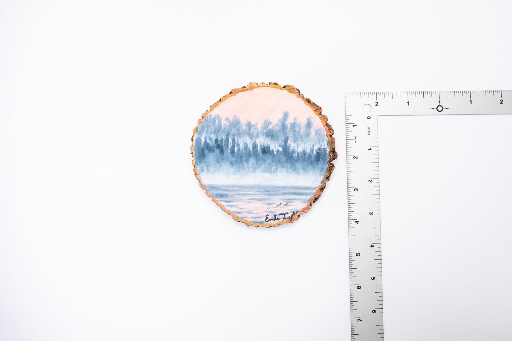 z2023 Vicarious Dreams Emilie Taylor Art