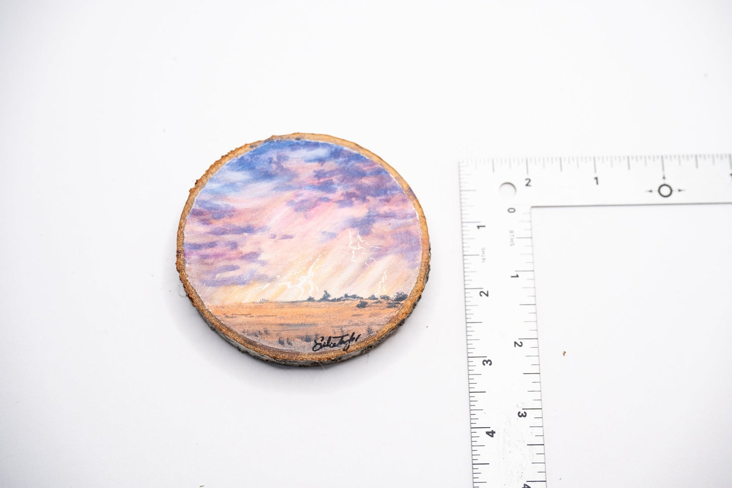 z2024 Barometric Pressure Emilie Taylor Art
