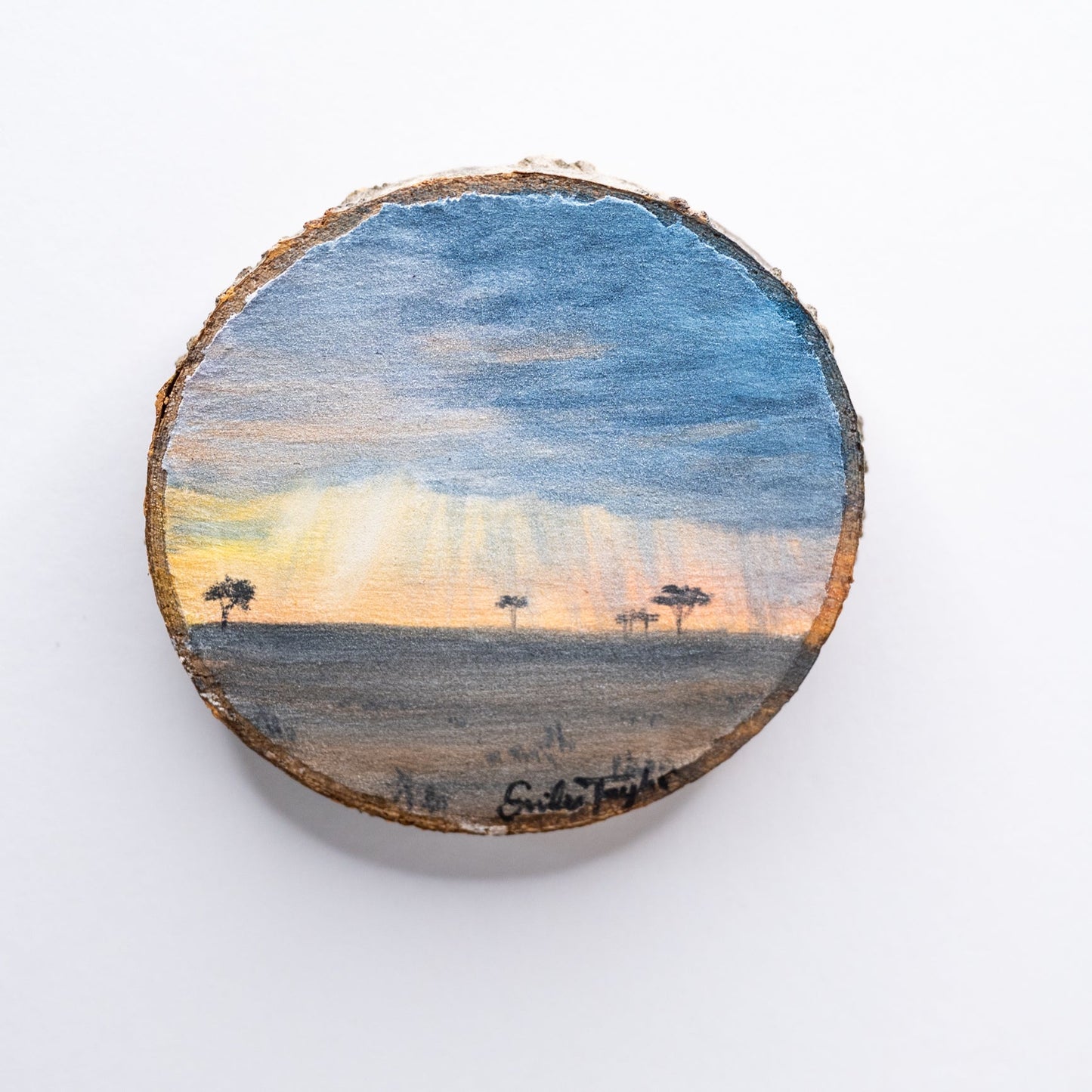 z2024 Despite the Storms Emilie Taylor Art