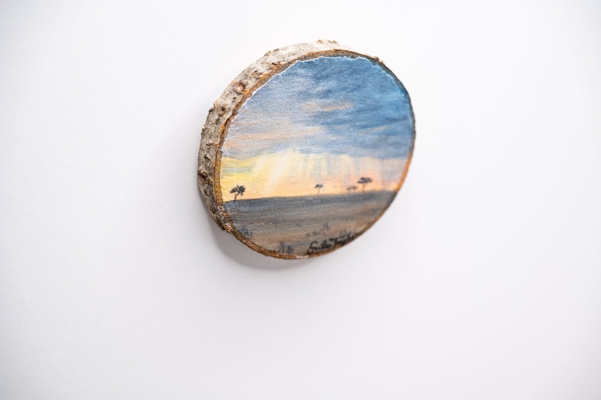 z2024 Despite the Storms Emilie Taylor Art