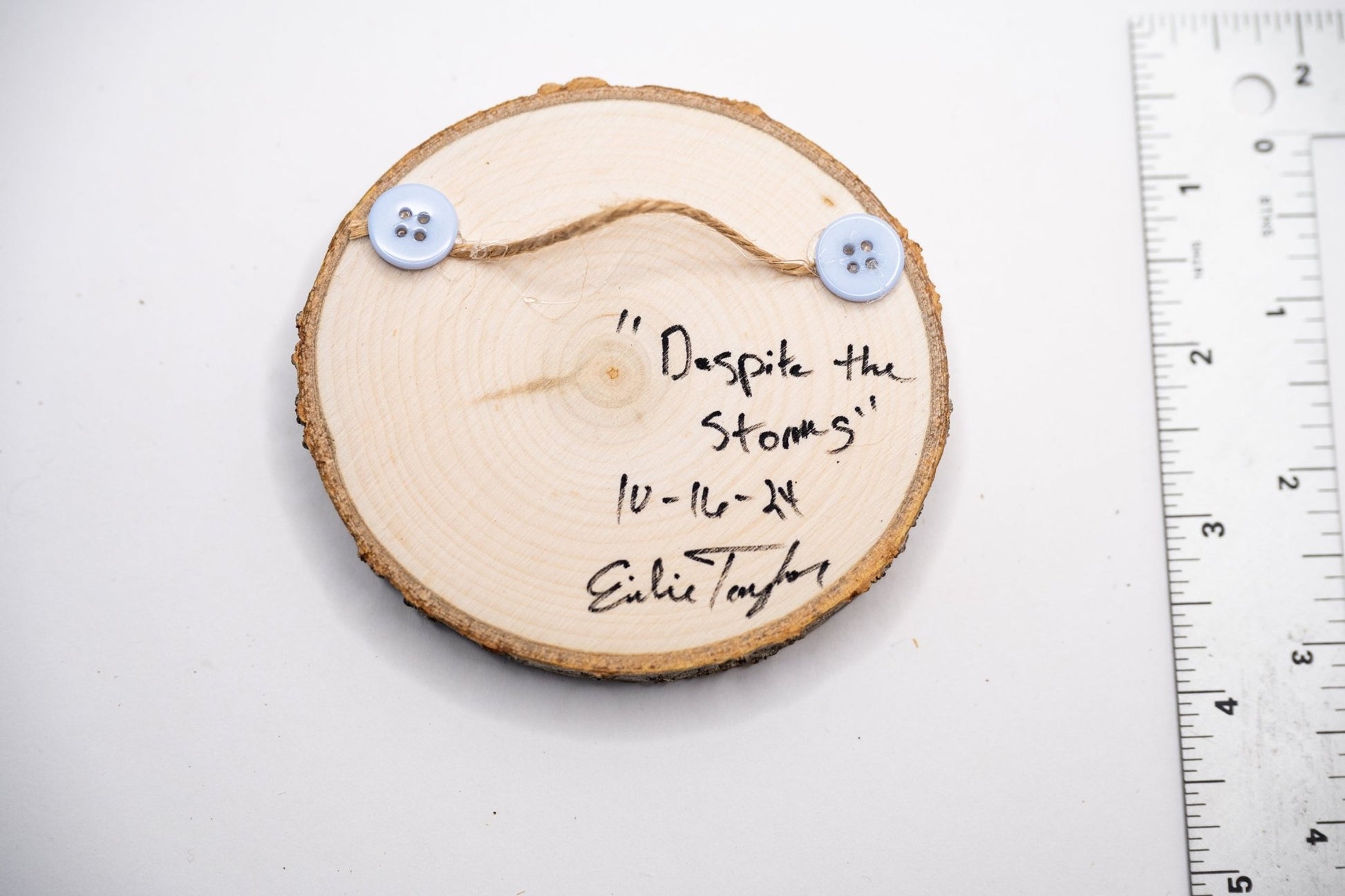 z2024 Despite the Storms Emilie Taylor Art