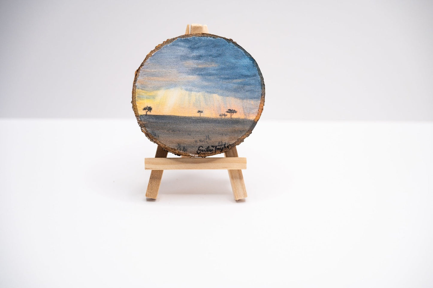 z2024 Despite the Storms Emilie Taylor Art