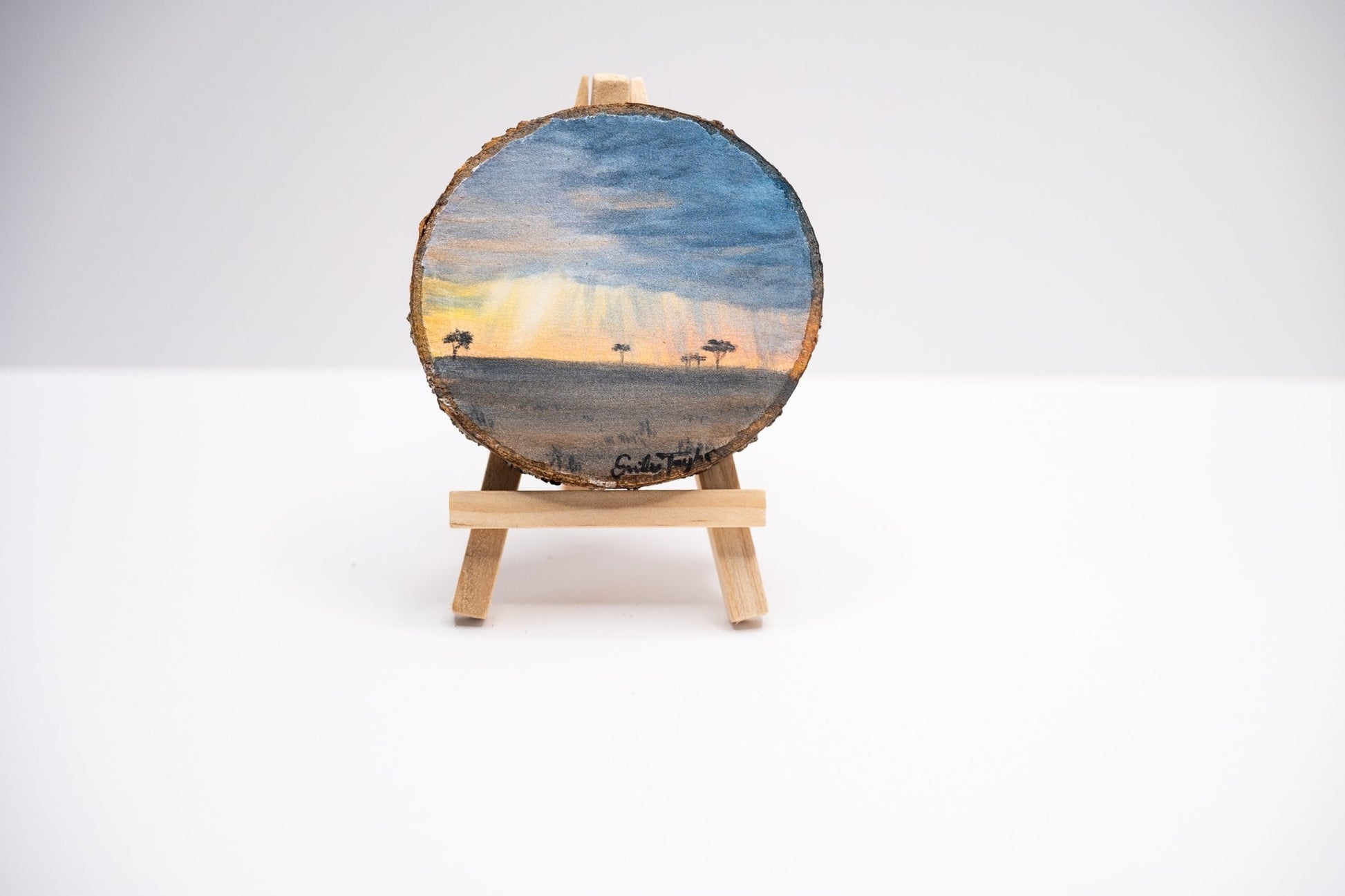 z2024 Despite the Storms Emilie Taylor Art
