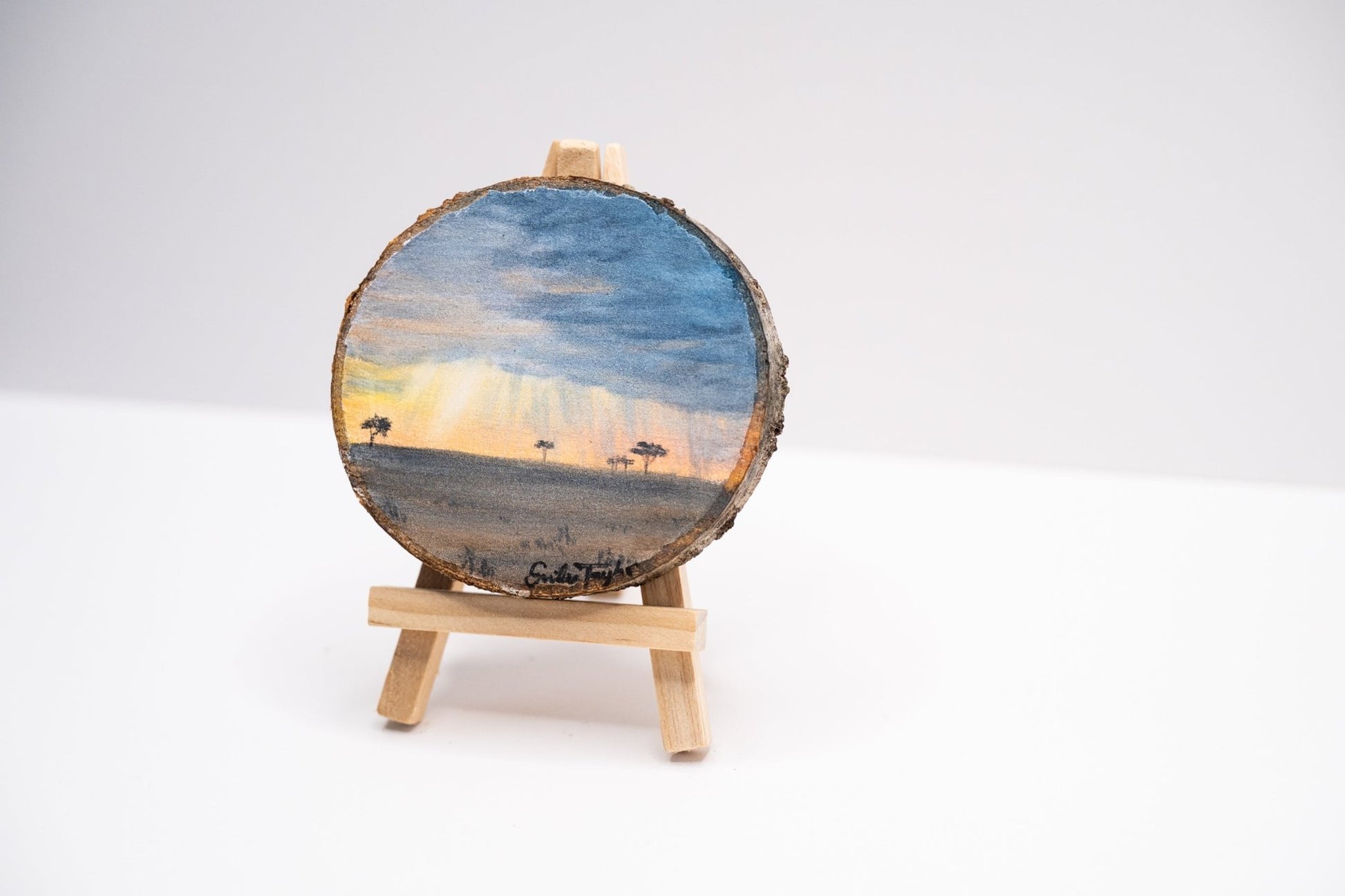 z2024 Despite the Storms Emilie Taylor Art