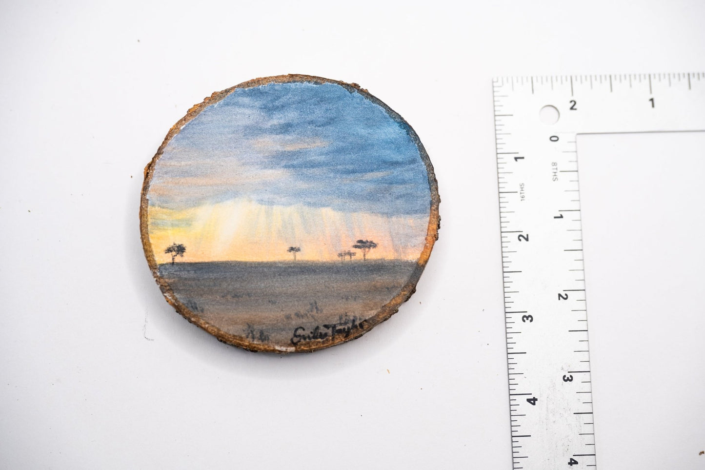 z2024 Despite the Storms Emilie Taylor Art