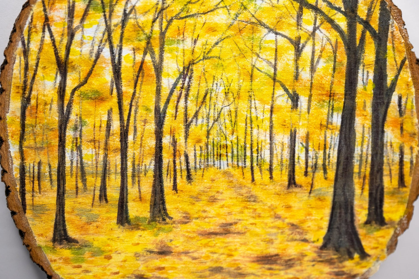 z2024 Enter the Golden Wood Emilie Taylor Art
