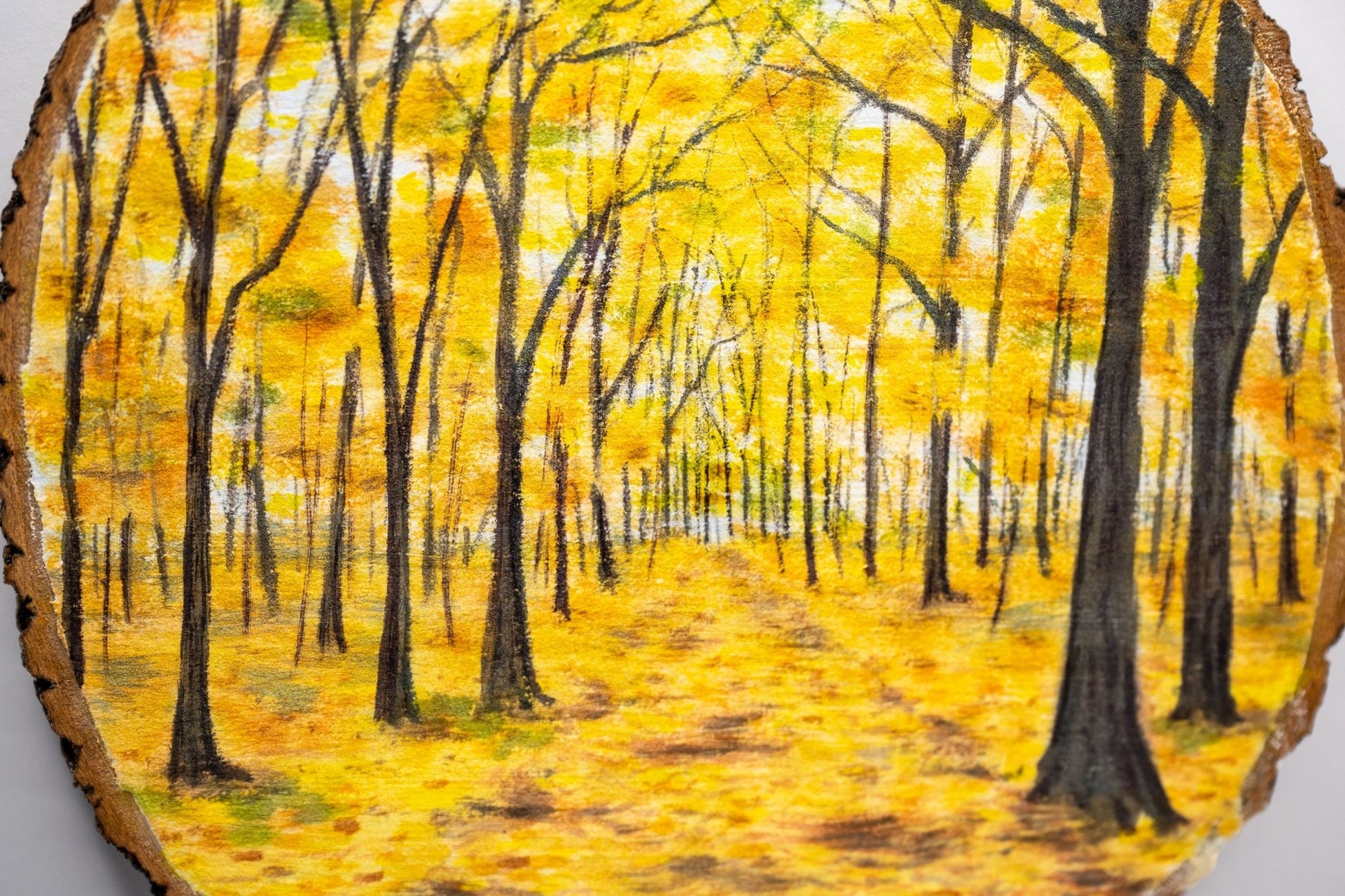 z2024 Enter the Golden Wood Emilie Taylor Art