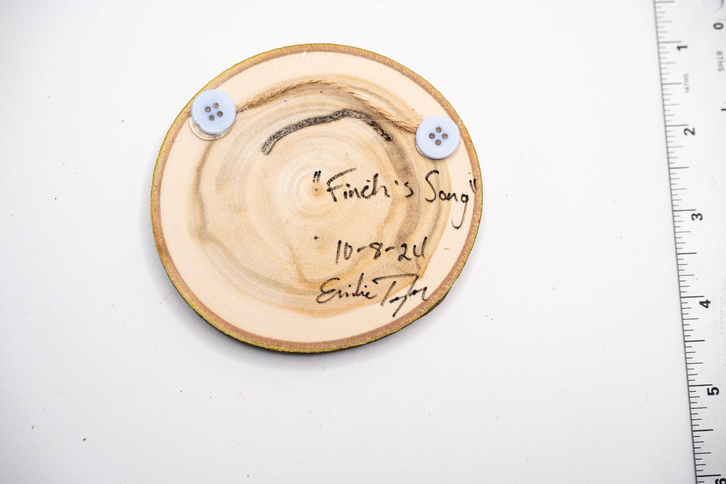 z2024 Finch's Song Emilie Taylor Art