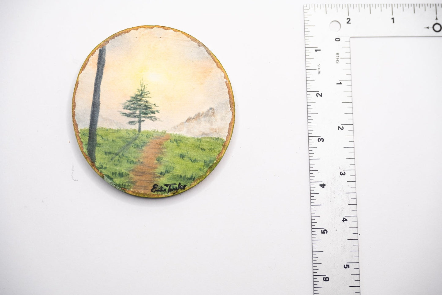 z2024 Into the Wild Emilie Taylor Art
