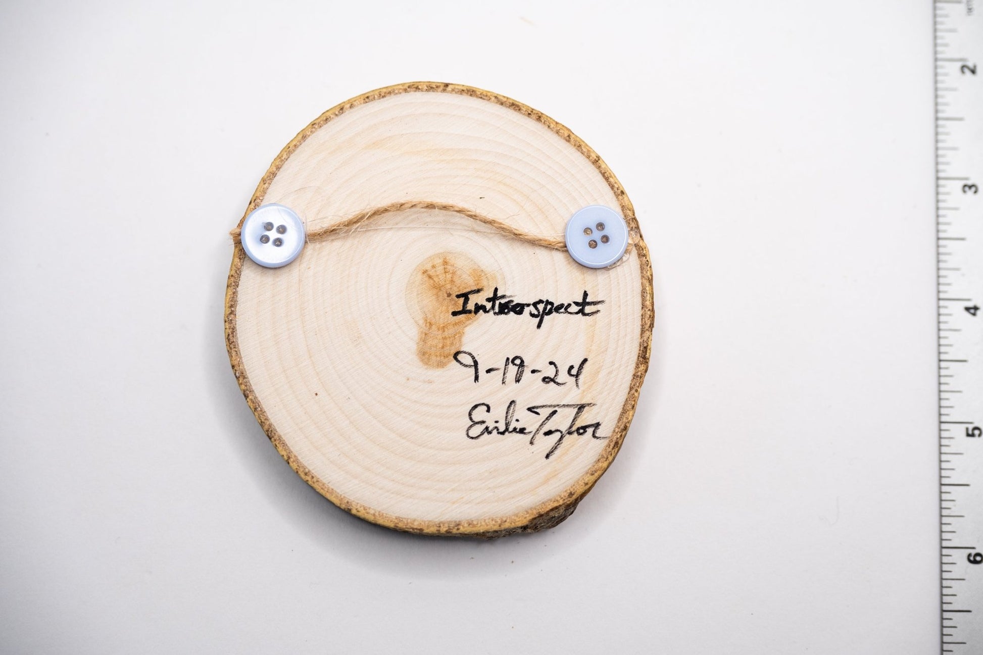 z2024 Introspect Emilie Taylor Art