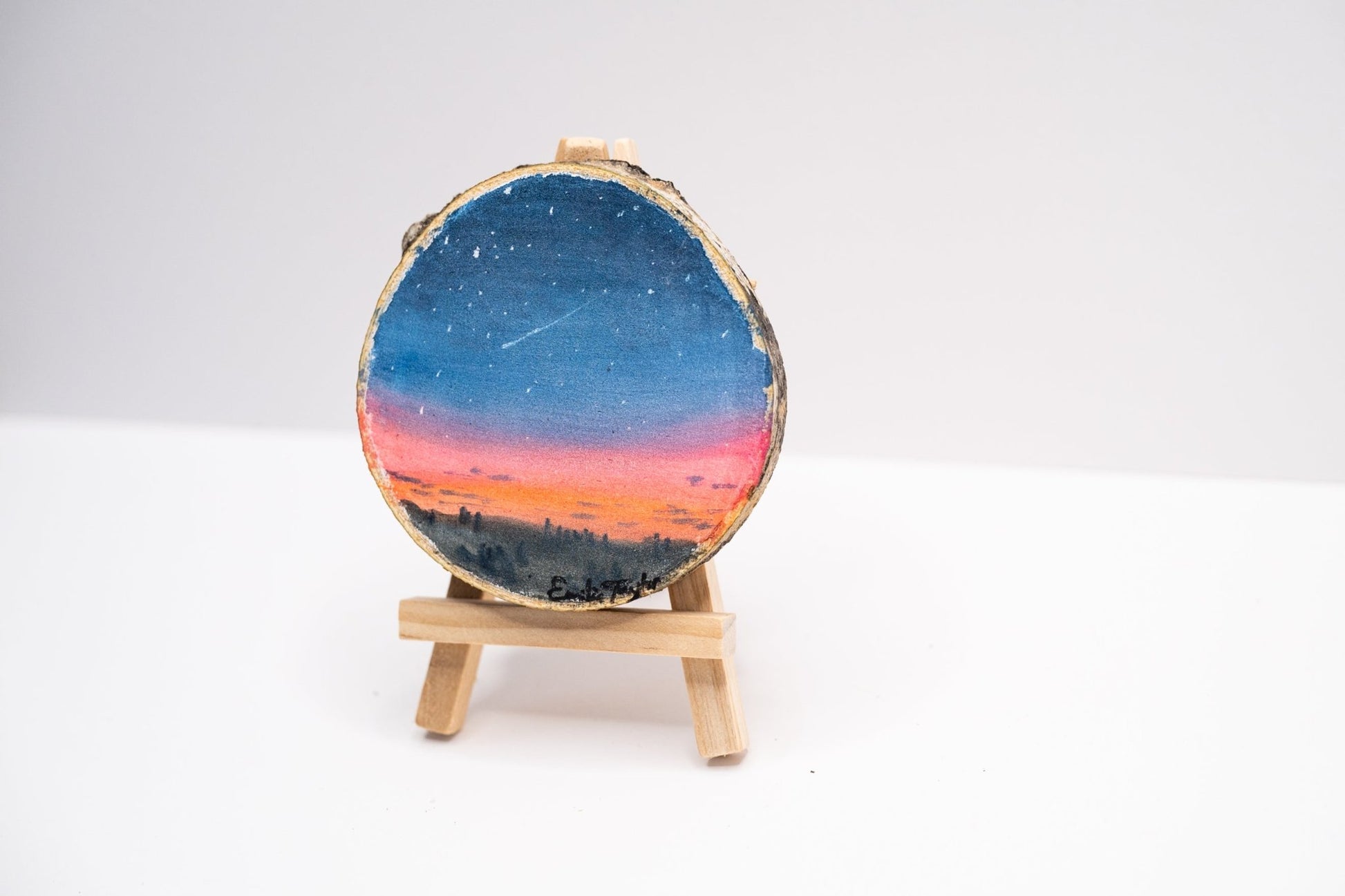 z2024 Learn to Shine Emilie Taylor Art