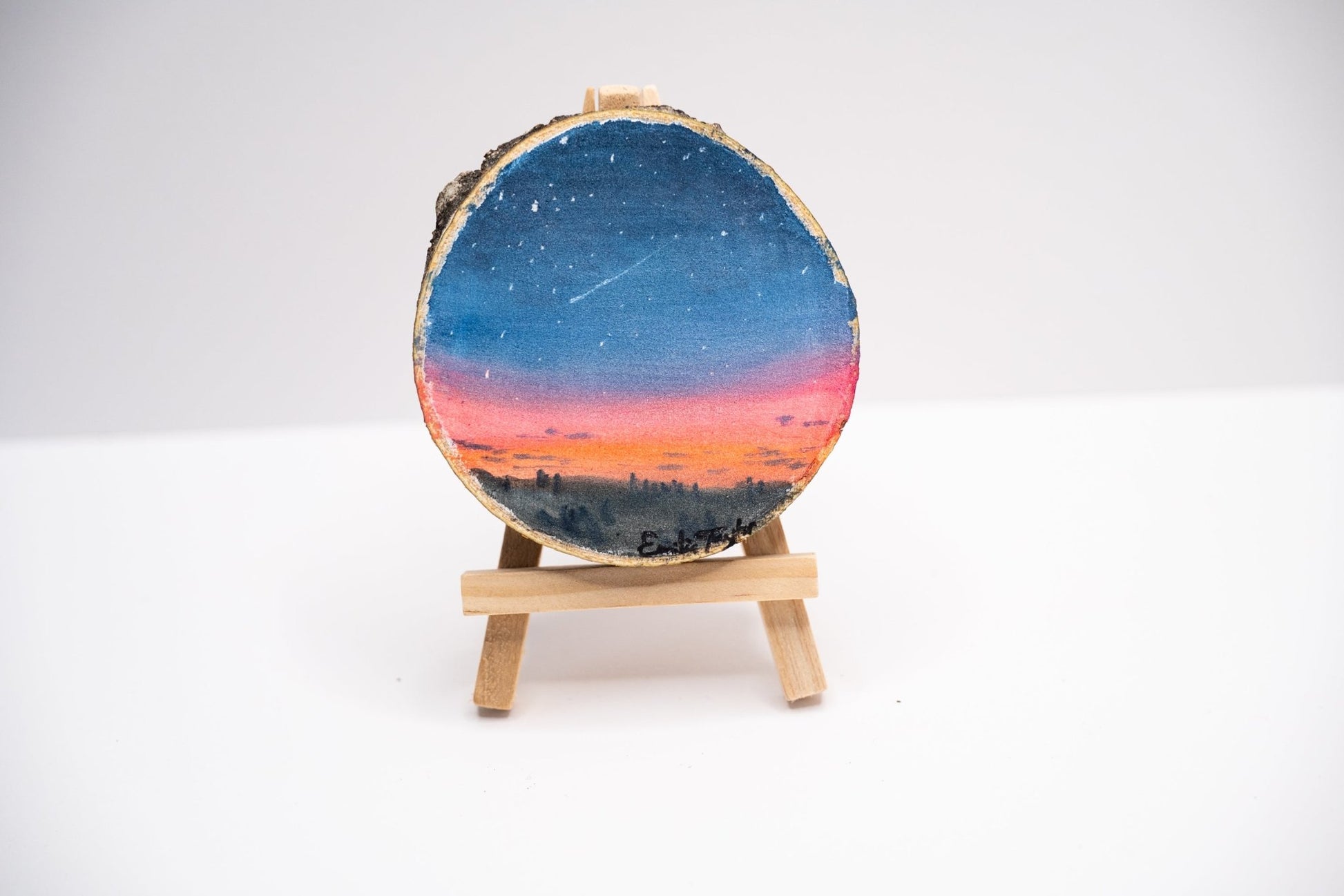 z2024 Learn to Shine Emilie Taylor Art