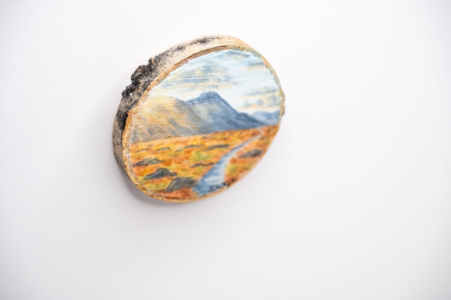 z2024 Like the Sun Emilie Taylor Art
