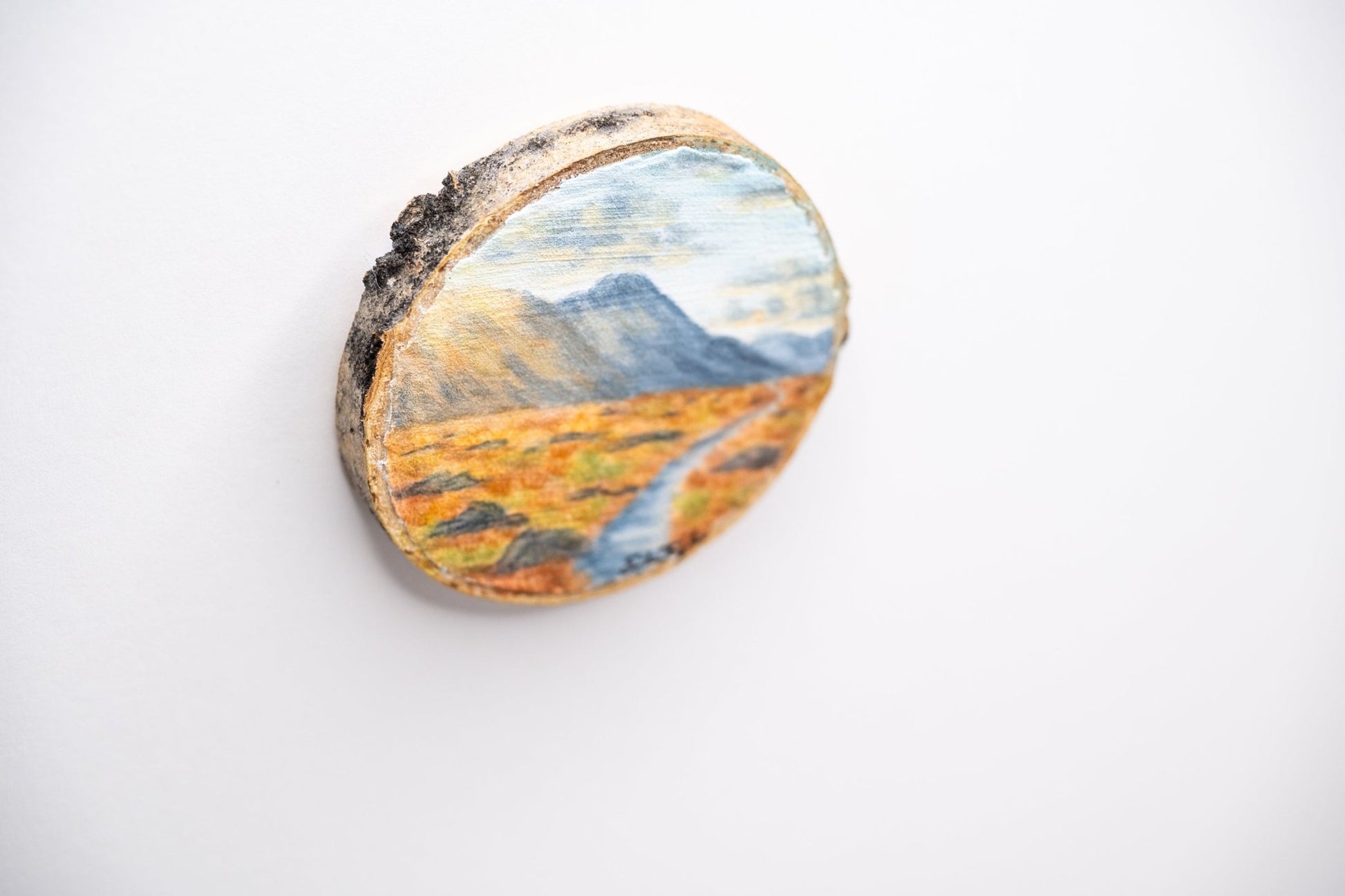 z2024 Like the Sun Emilie Taylor Art