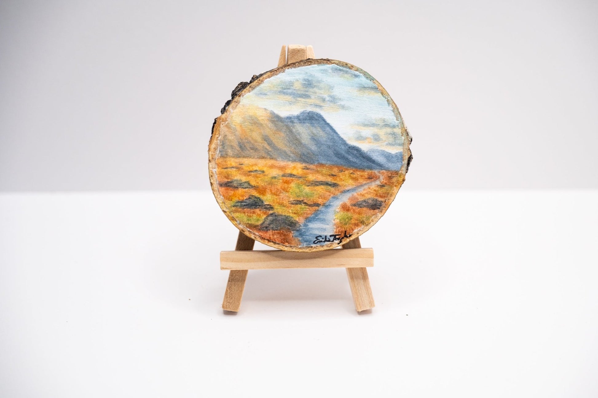 z2024 Like the Sun Emilie Taylor Art