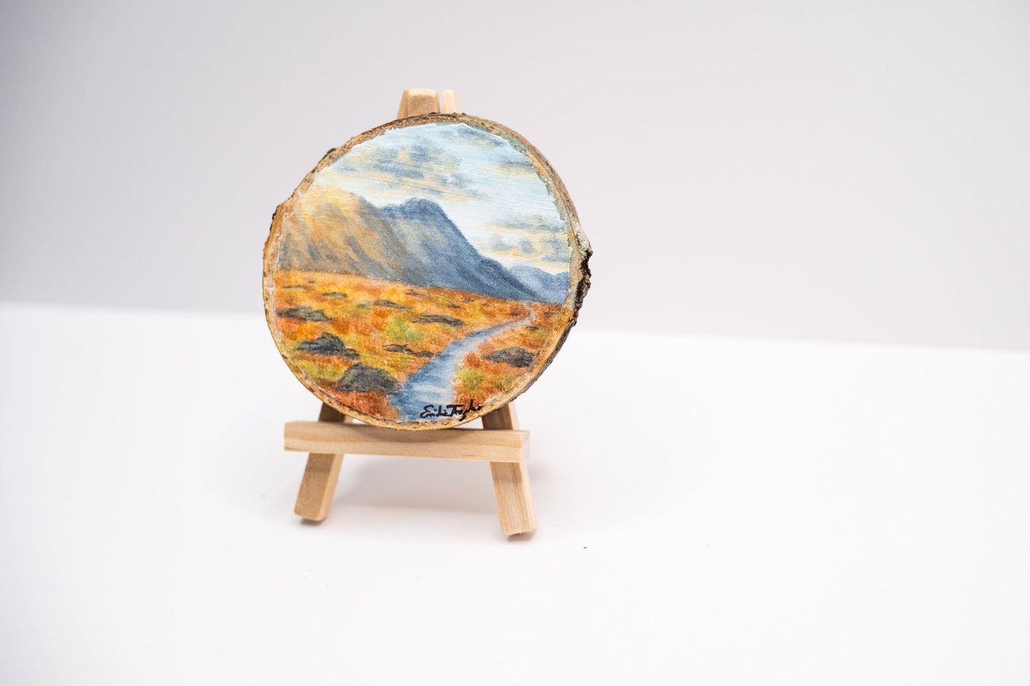 z2024 Like the Sun Emilie Taylor Art