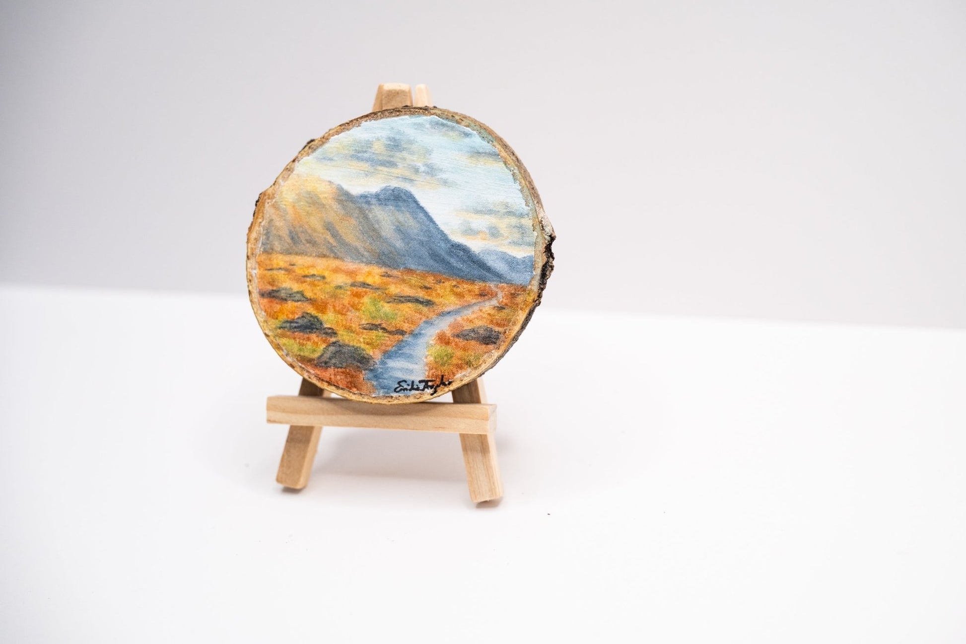 z2024 Like the Sun Emilie Taylor Art