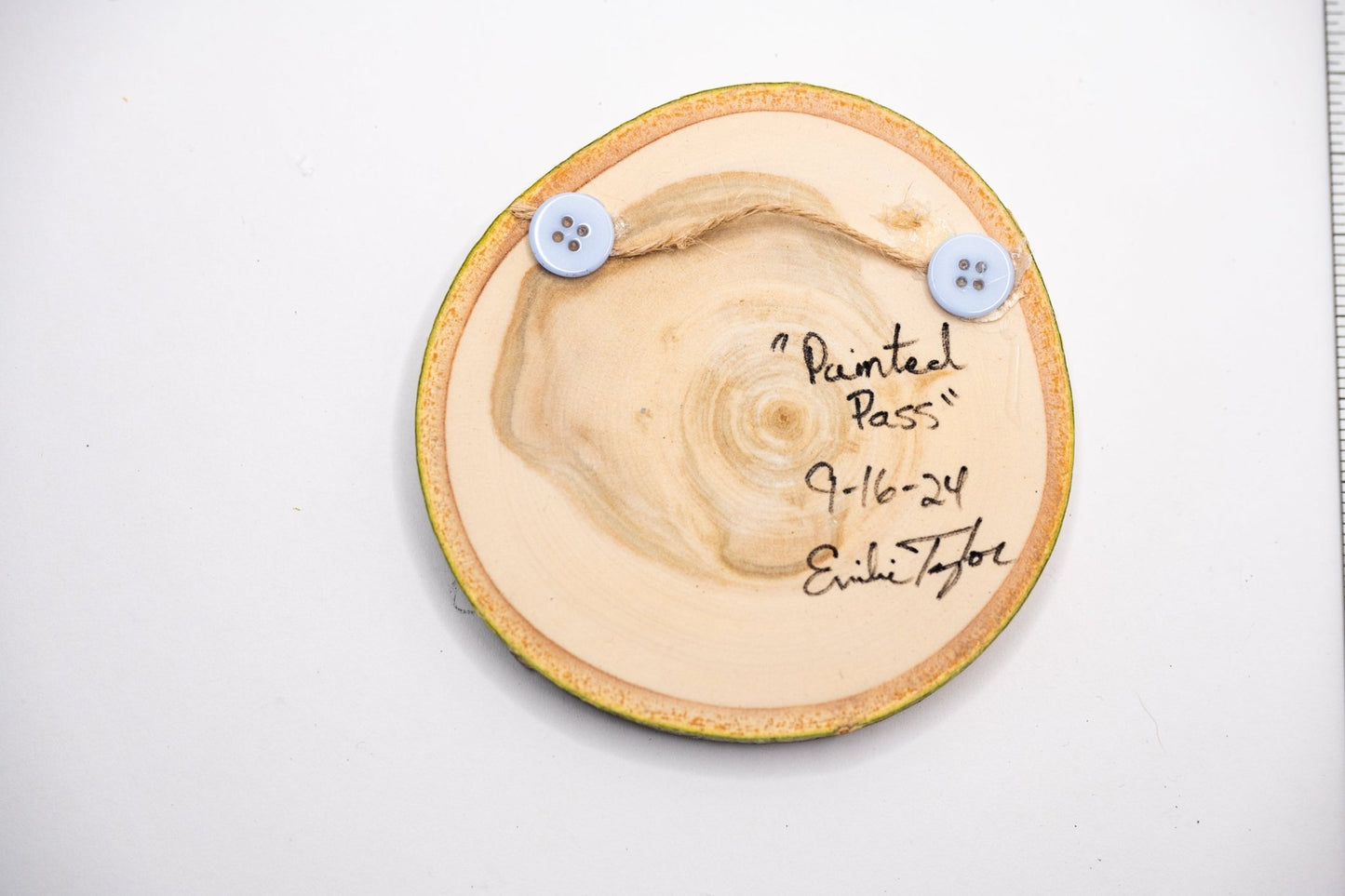 z2024 Painted Pass Emilie Taylor Art