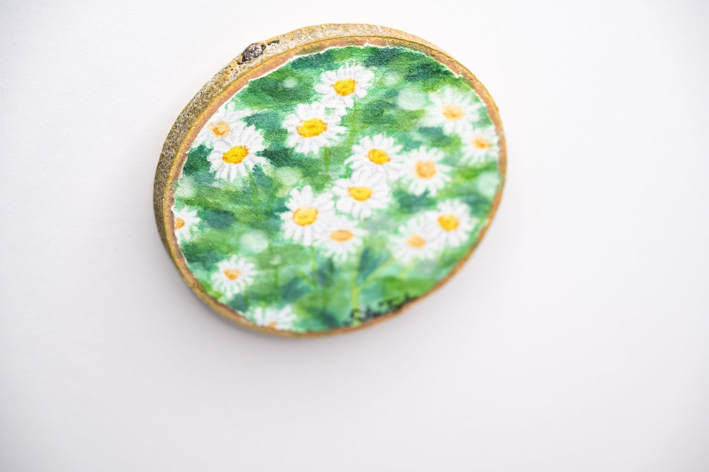 z2024 Pocket Of Daisies Emilie Taylor Art