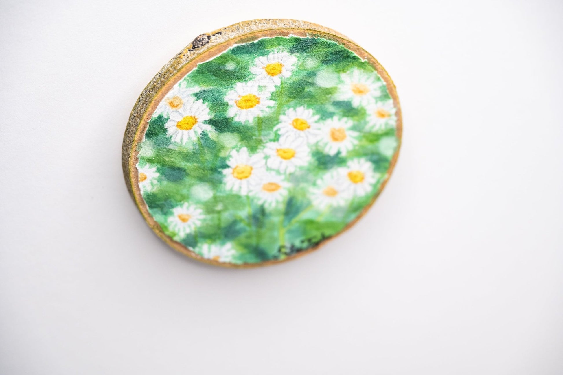 z2024 Pocket Of Daisies Emilie Taylor Art