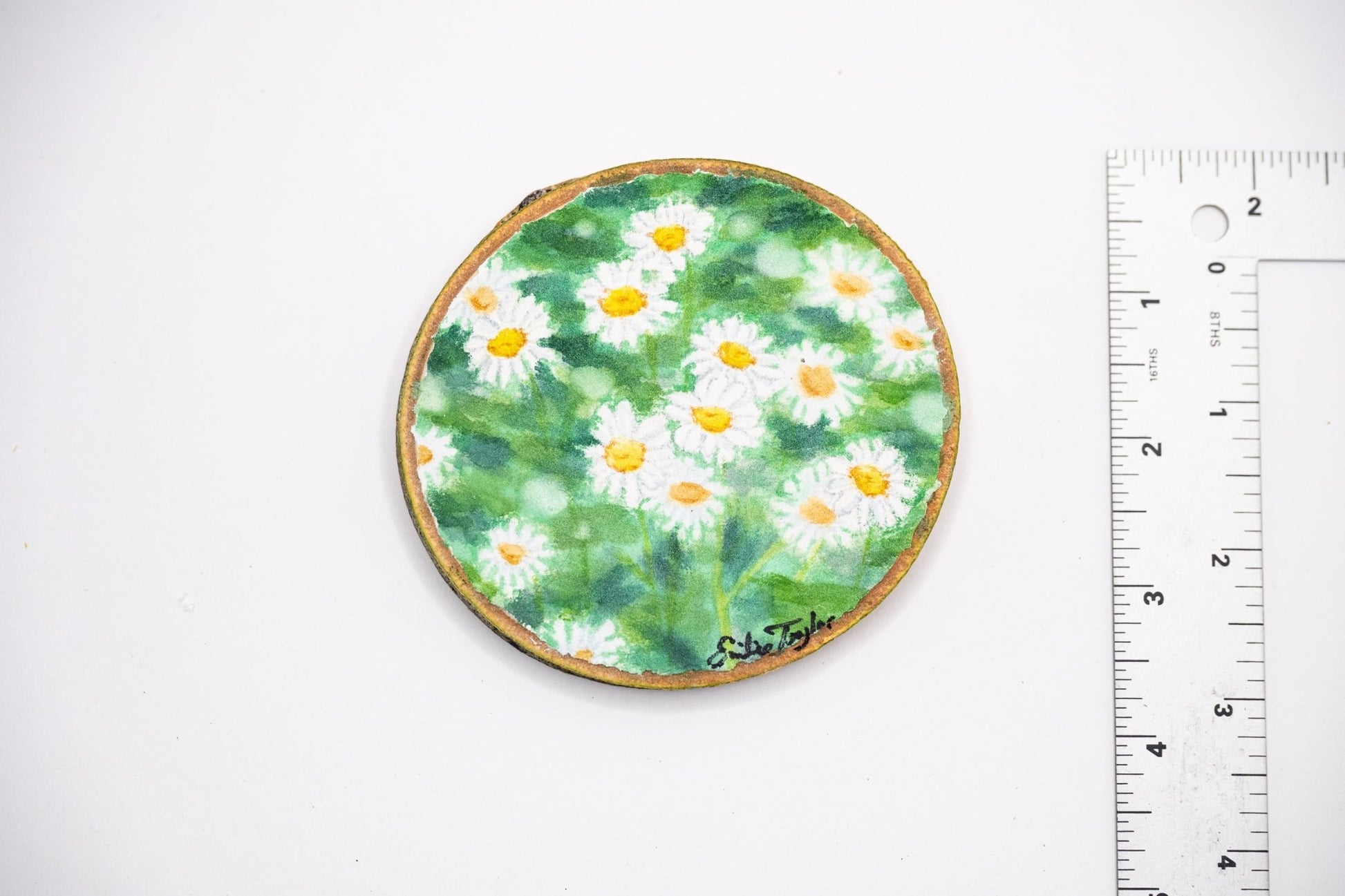 z2024 Pocket Of Daisies Emilie Taylor Art