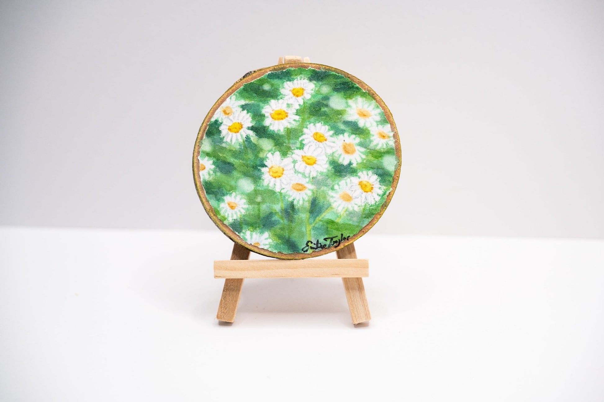 z2024 Pocket Of Daisies Emilie Taylor Art