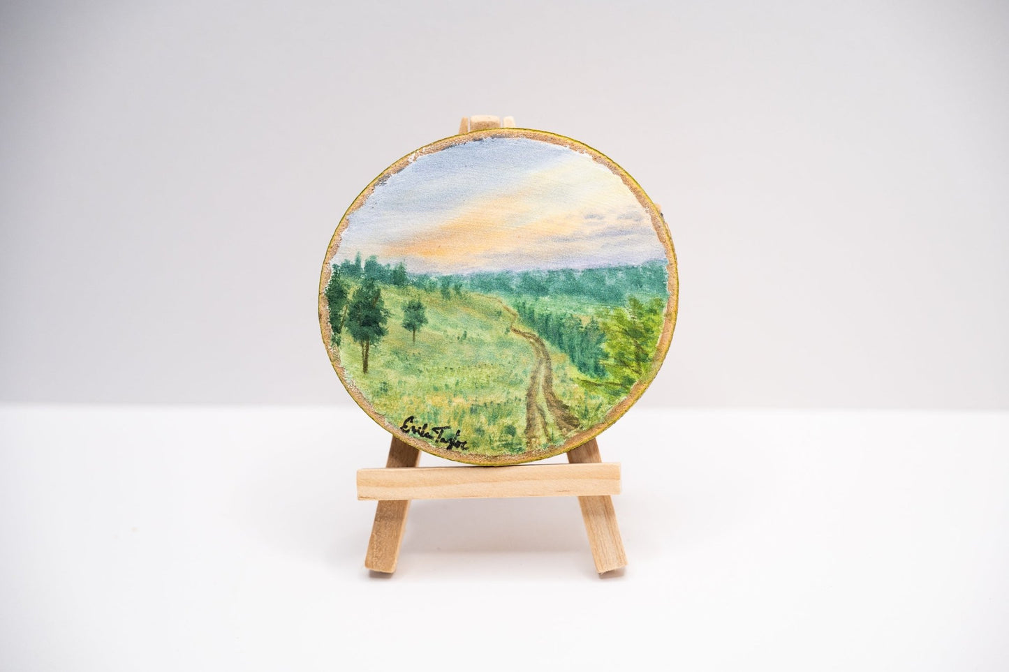 z2024 The Long Way Round Emilie Taylor Art