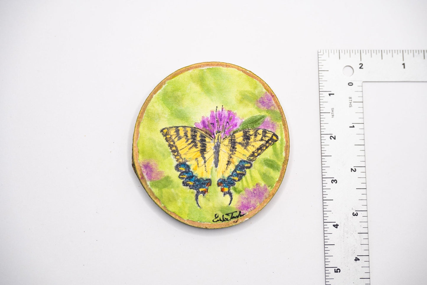 z2024 Tiger of the Prairies Emilie Taylor Art