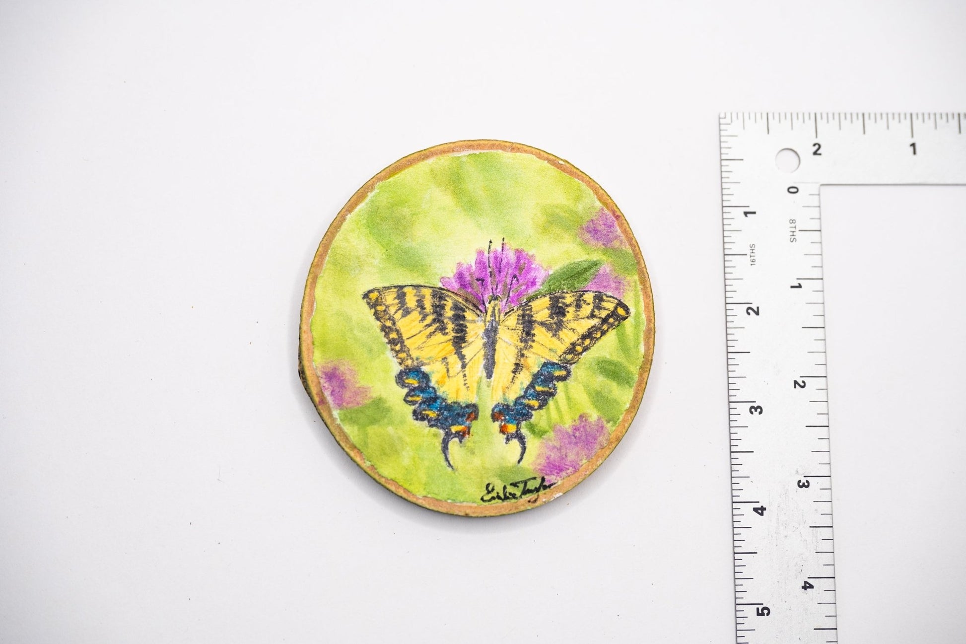 z2024 Tiger of the Prairies Emilie Taylor Art