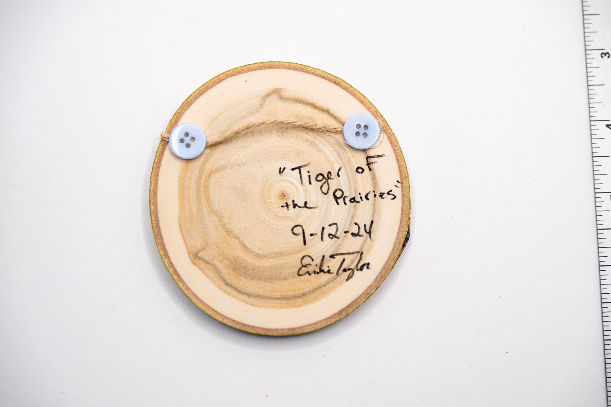 z2024 Tiger of the Prairies Emilie Taylor Art
