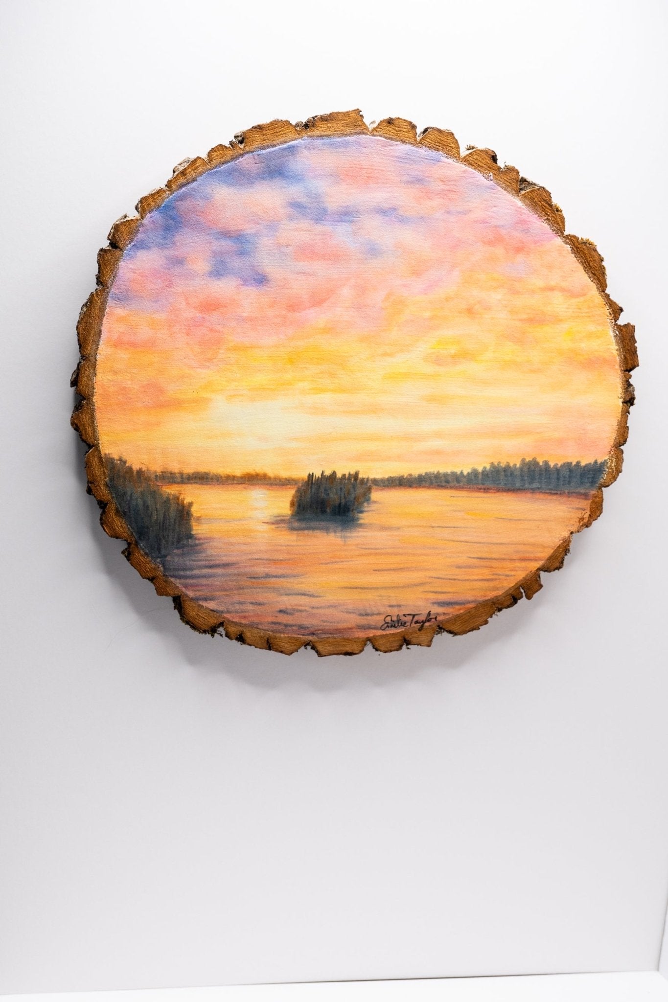 z2024 To Slow the Setting Sun Emilie Taylor Art