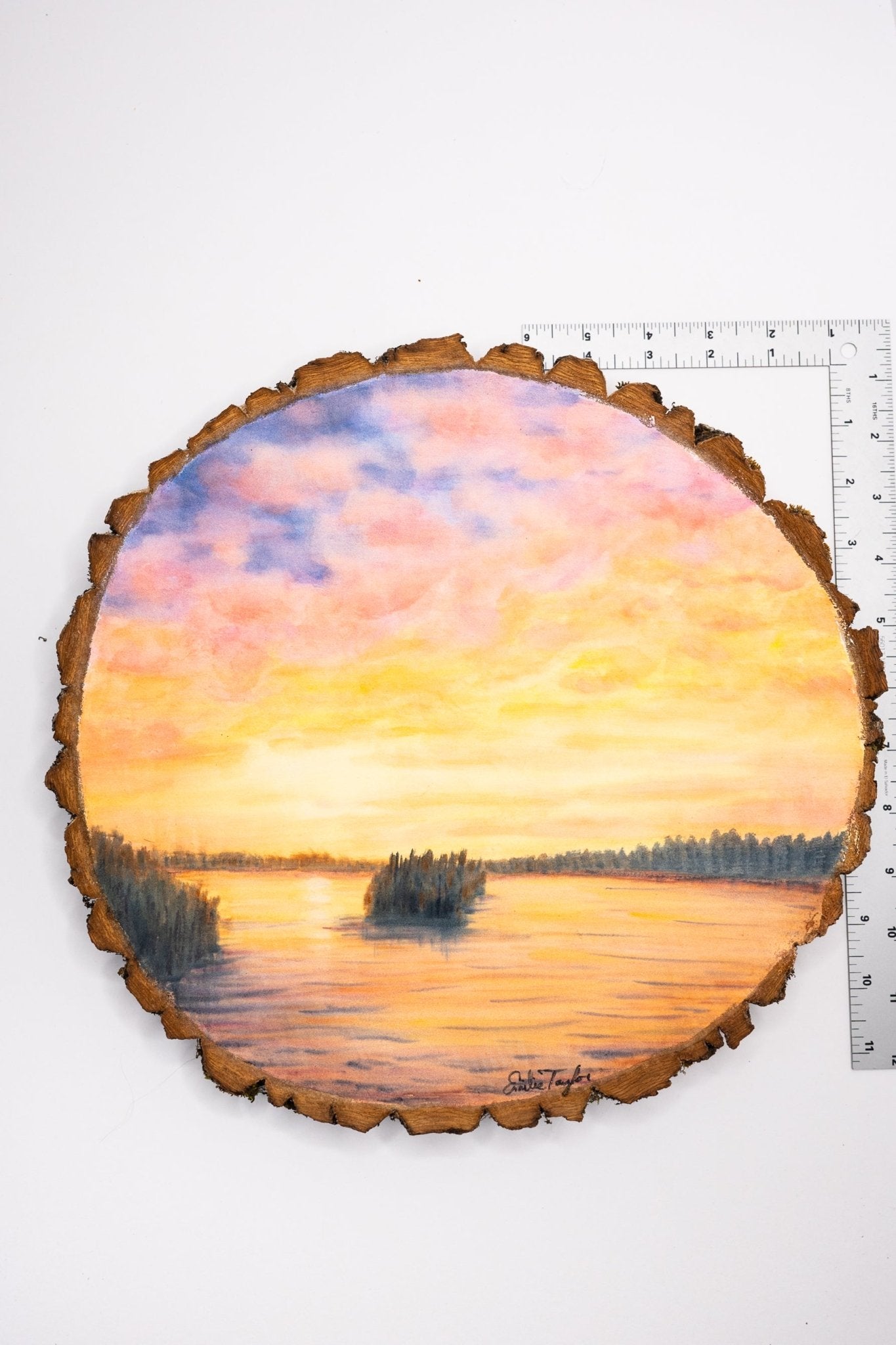 z2024 To Slow the Setting Sun Emilie Taylor Art