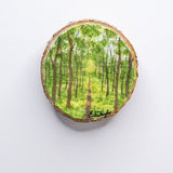 z2024 Trail of the Woodland Realm Emilie Taylor Art