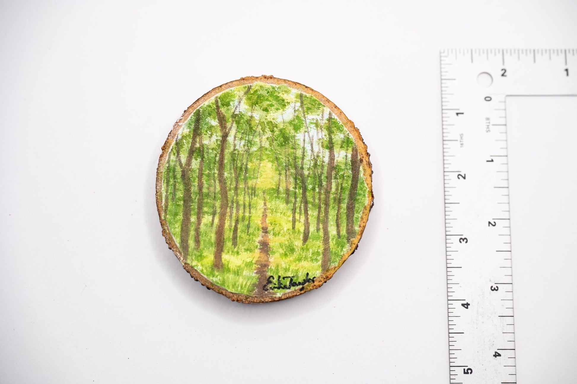 z2024 Trail of the Woodland Realm Emilie Taylor Art