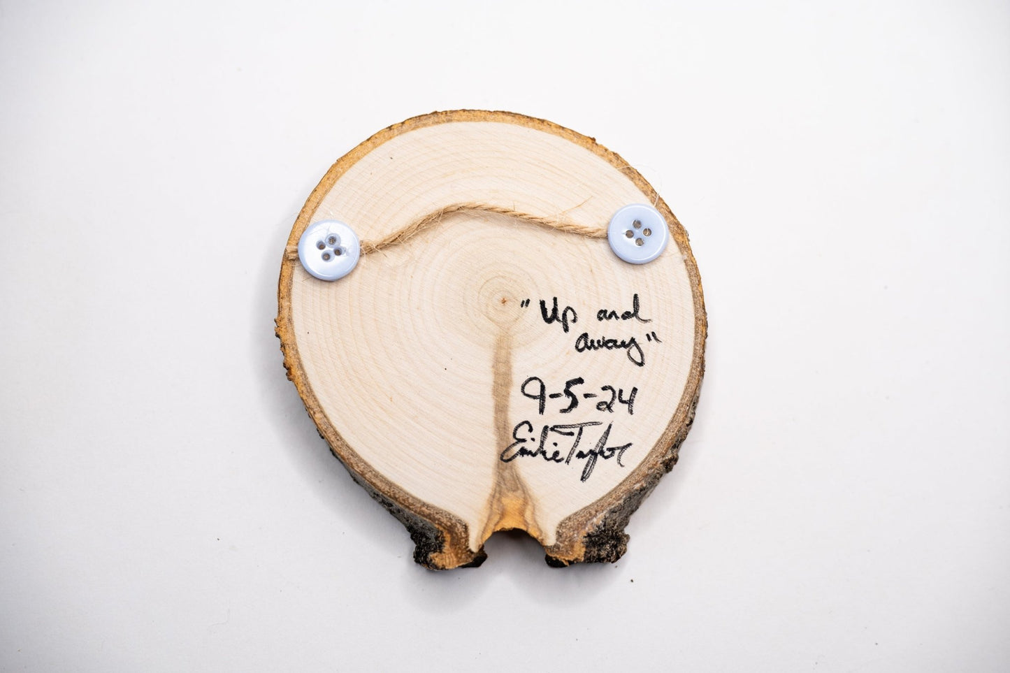 z2024 Up and Away Emilie Taylor Art