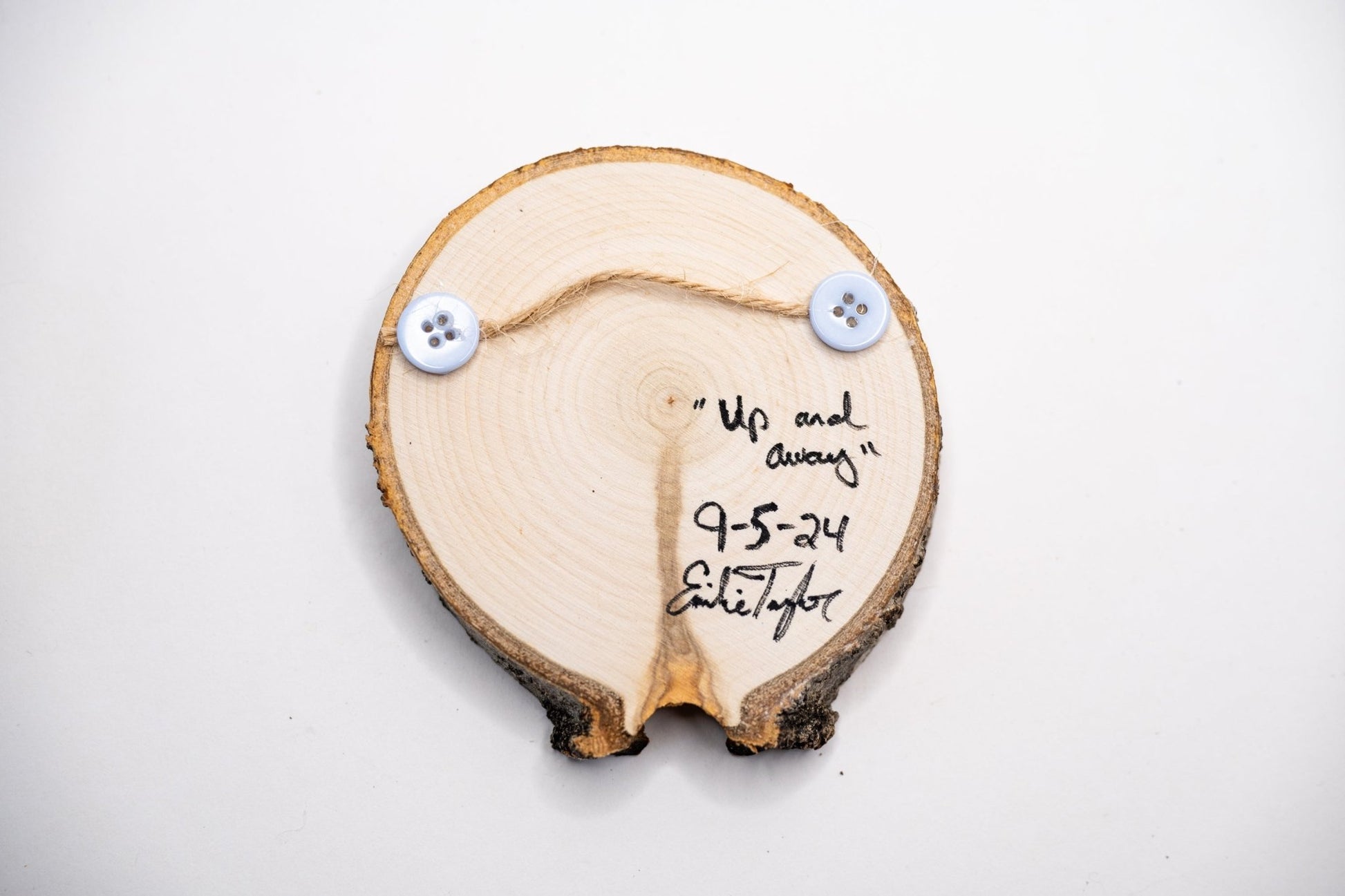 z2024 Up and Away Emilie Taylor Art