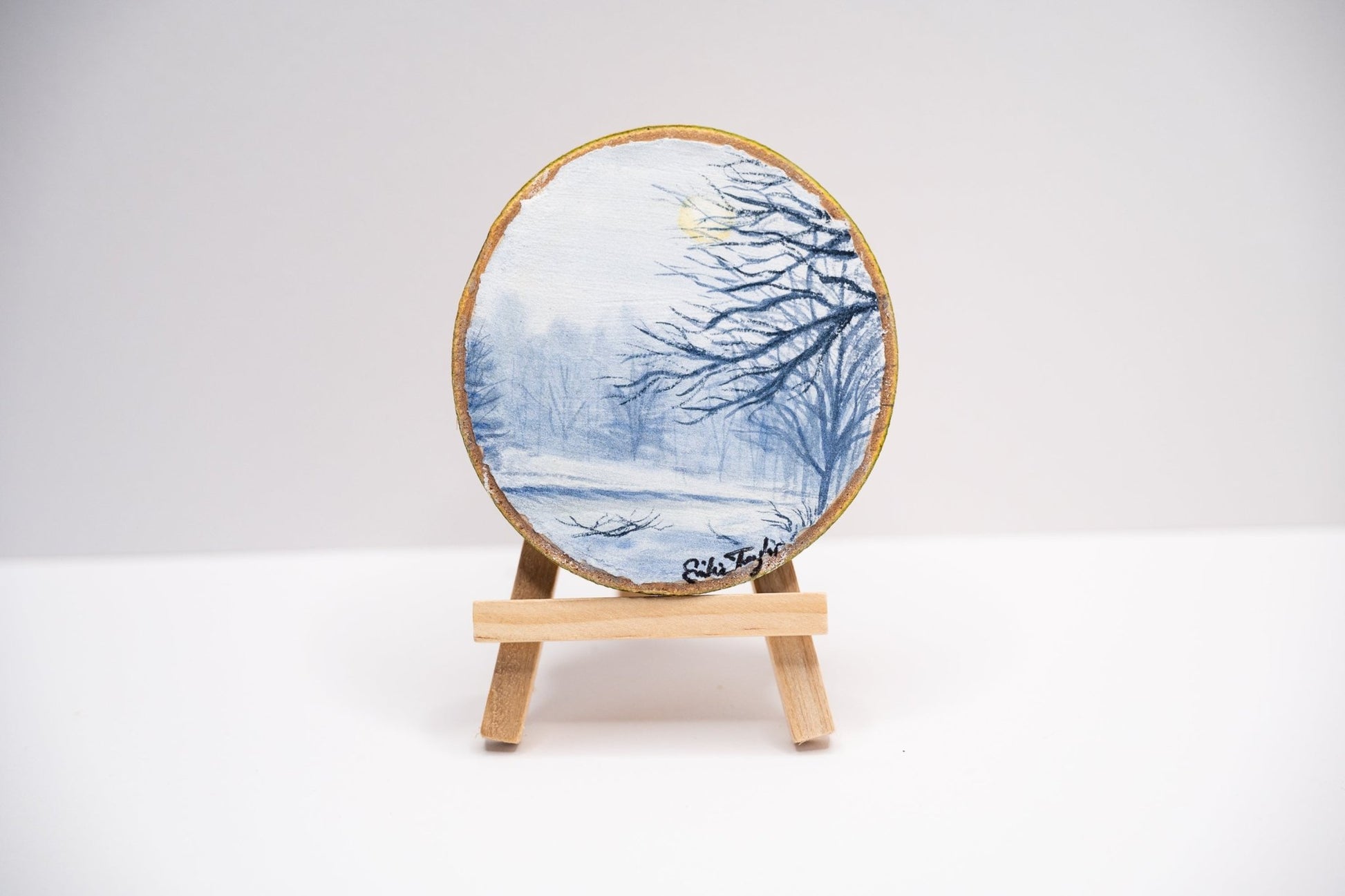 z2024 Washed in Wonder Emilie Taylor Art