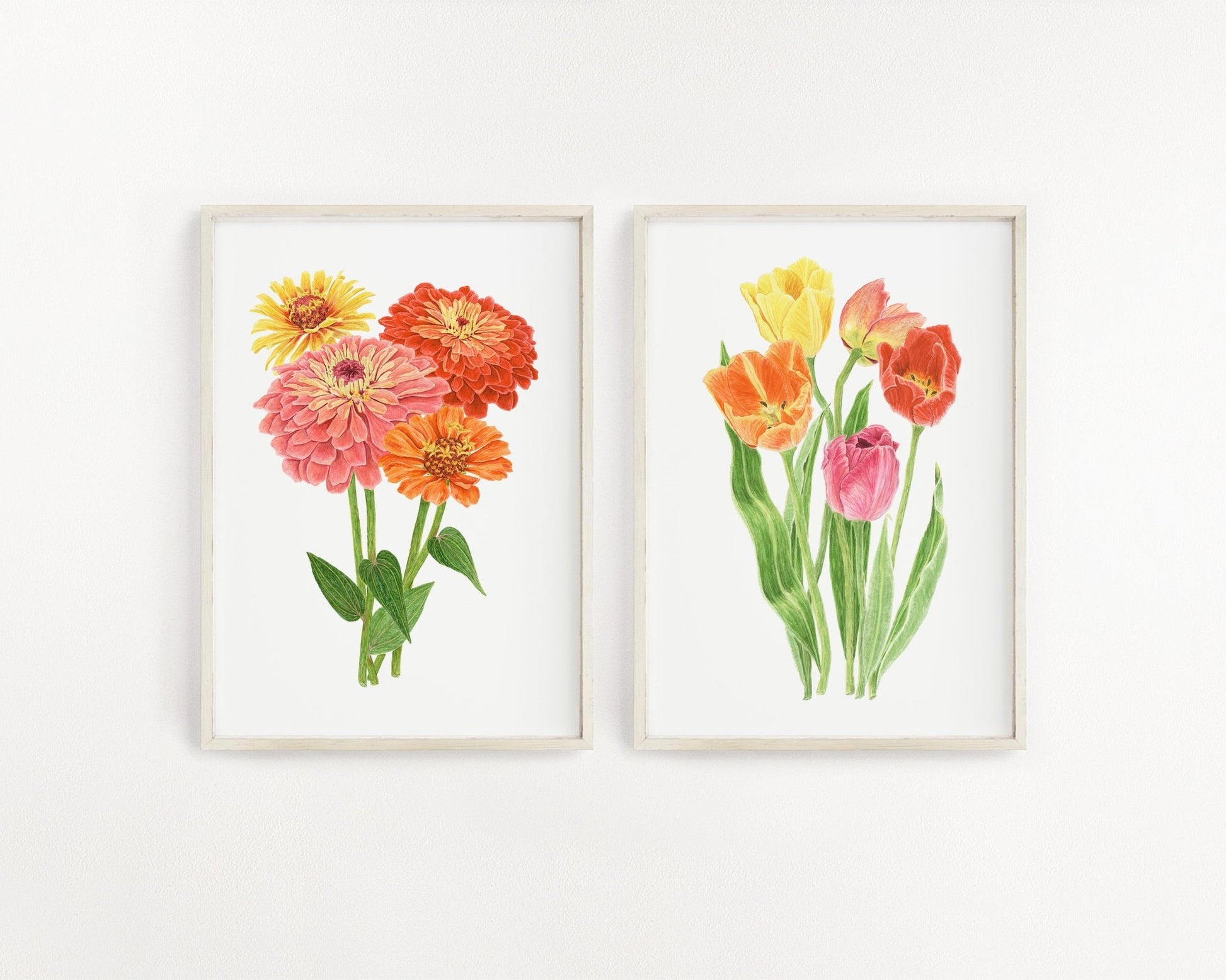 Zinnia Print, Watercolor Zinnias Painting, Multicolor Zinnia bundle Emilie Taylor Art