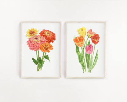 Zinnia Print, Watercolor Zinnias Painting, Multicolor Zinnia bundle Emilie Taylor Art