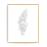White Watercolor Feather, Feather Print, Grey Feather, Bird Feather, Grey Decor, Feather wall art - Emilie Taylor Art