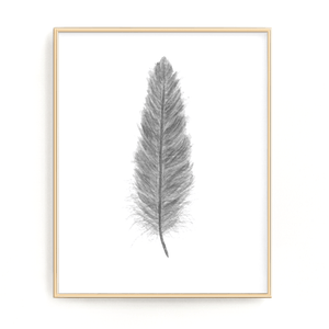 Dark Gray Watercolor Feather, Feather Print, Gray Feather decor - Emilie Taylor Art