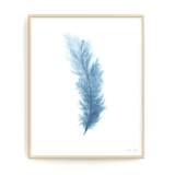 Colored Watercolor Feather Painting, Feather Print - Emilie Taylor Art