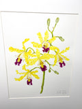 Wild Banana Orchid Original Painting Mated to size 16x20