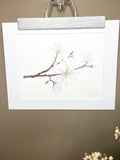 Magnolia Original Painting  Mated to size 11x14