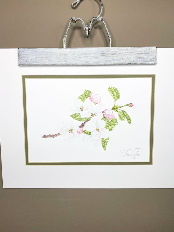 Apple Blossom Original Painting Mated to size 11x14
