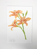 Lilies Original Painting Mated to size 11x14
