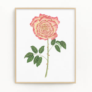 Rose Print, Watercolor Long Stem Rose Painting, Rose Art, Floral Art, Floral Print