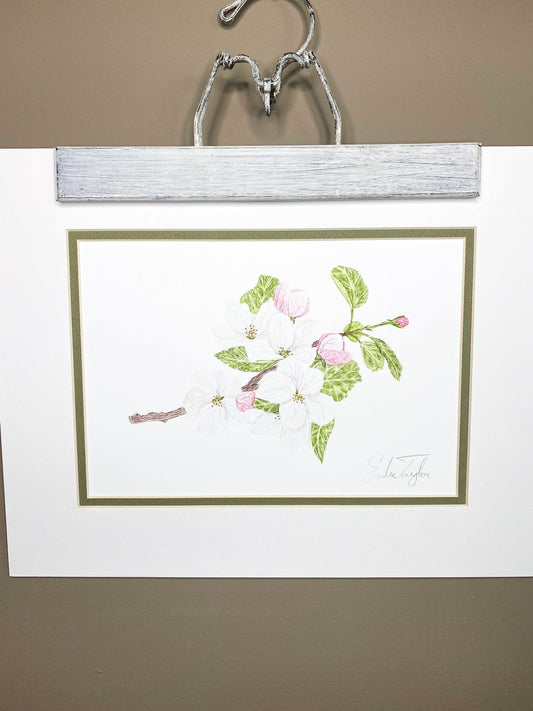 Apple Blossom Original Painting Mated to size 11x14 Emilie Taylor Art