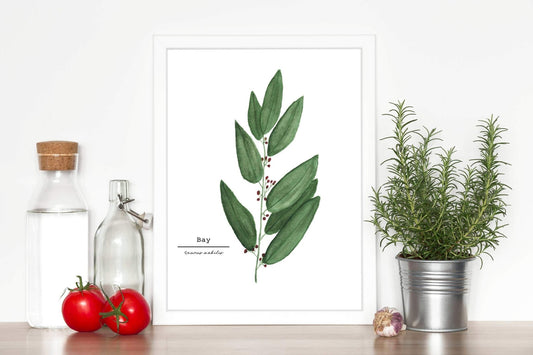 Bay Watercolor Painting, Botanical Art, Wall Art, Herb Painting, Bay Leaves, Botanical Watercolor Emilie Taylor Art